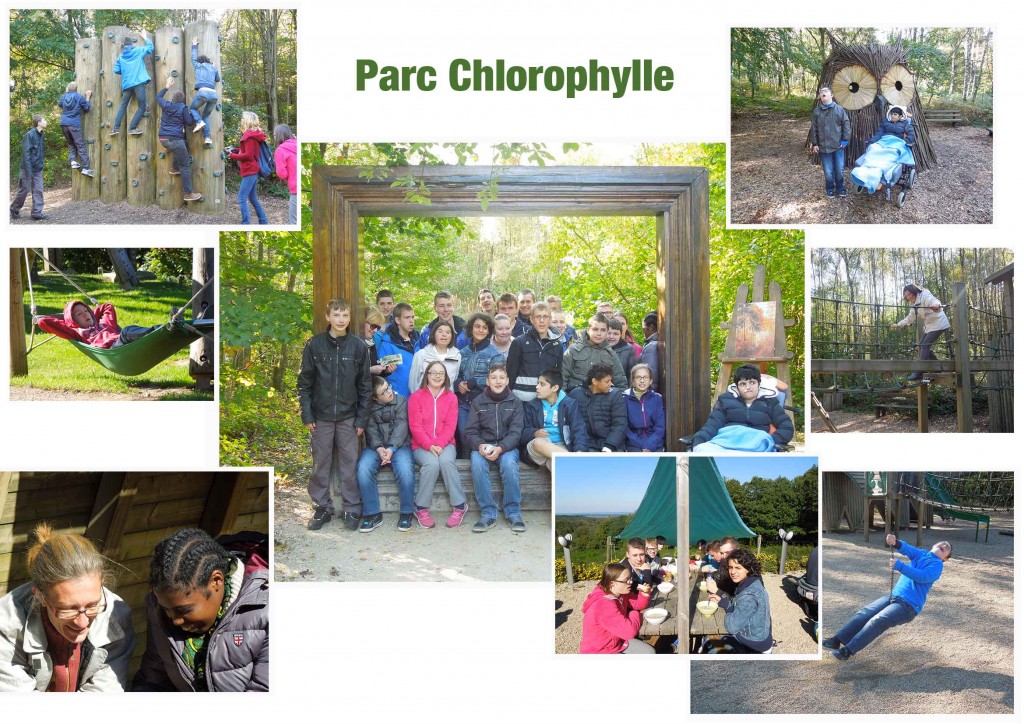 2015-10---Chlorophylle